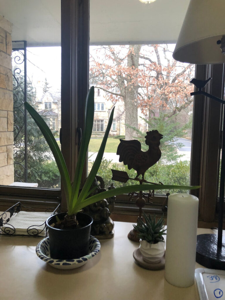 Decorative statues of birds sit on a table in front of an open window.